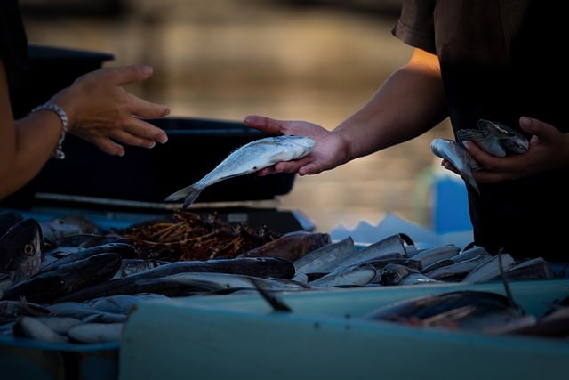 Co można sprzedawać bez działalności gospodarczej? Co można sprzedawać bez działalności gospodarczej?