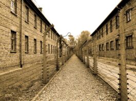 Co to FKL Auschwitz?