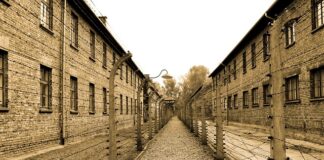 Co to FKL Auschwitz?