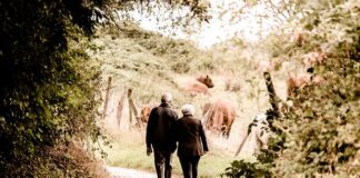 Czy praca na dwóch etatach liczy się do emerytury?