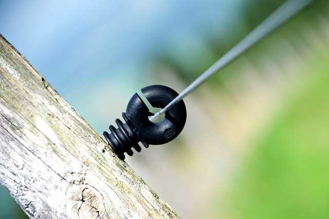 Ile procent Polaków zna języki obce? Ile procent Polaków zna języki obce?