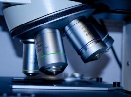 Ile osób rocznie kończy studia prawnicze?