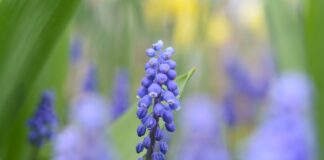 Co wyróżnia zespół?