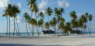 Ile kosztuje semestr?