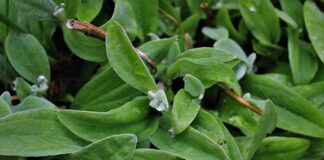 Jak pogodzić pracę na dwóch etatach?