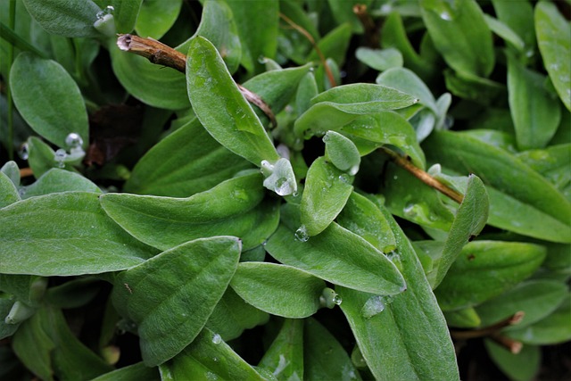 Jak pogodzić pracę na dwóch etatach? Jak pogodzić pracę na dwóch etatach?