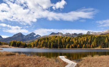Ile trwa staż uczniowski?