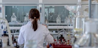 Co to jest test Belbina?