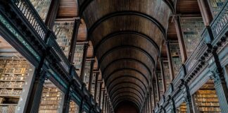 Czy uczelnia należy do sektora finansów publicznych?