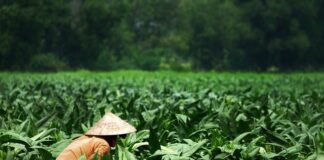 Komu należy się dodatkowa przerwa w pracy?