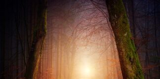 Co to jest rachunek por?