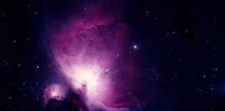 Jak nauka języka angielskiego wpływa na rozwój zawodowy?