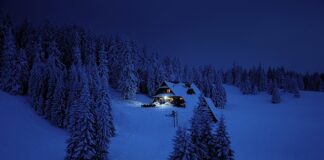 Co jest podstawowym celem NBP?