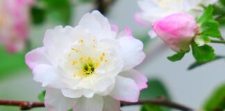 Ile jest rodzajów niepełnosprawności?