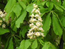 Jakie przedmioty najlepiej zdawać na maturze?