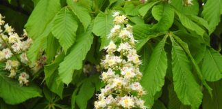 Jakie przedmioty najlepiej zdawać na maturze?