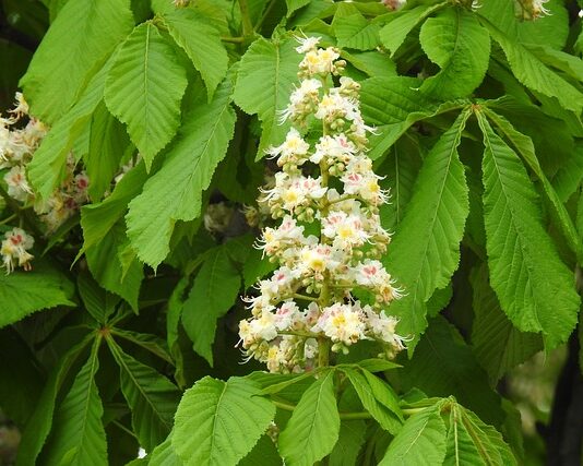 Jakie przedmioty najlepiej zdawać na maturze?